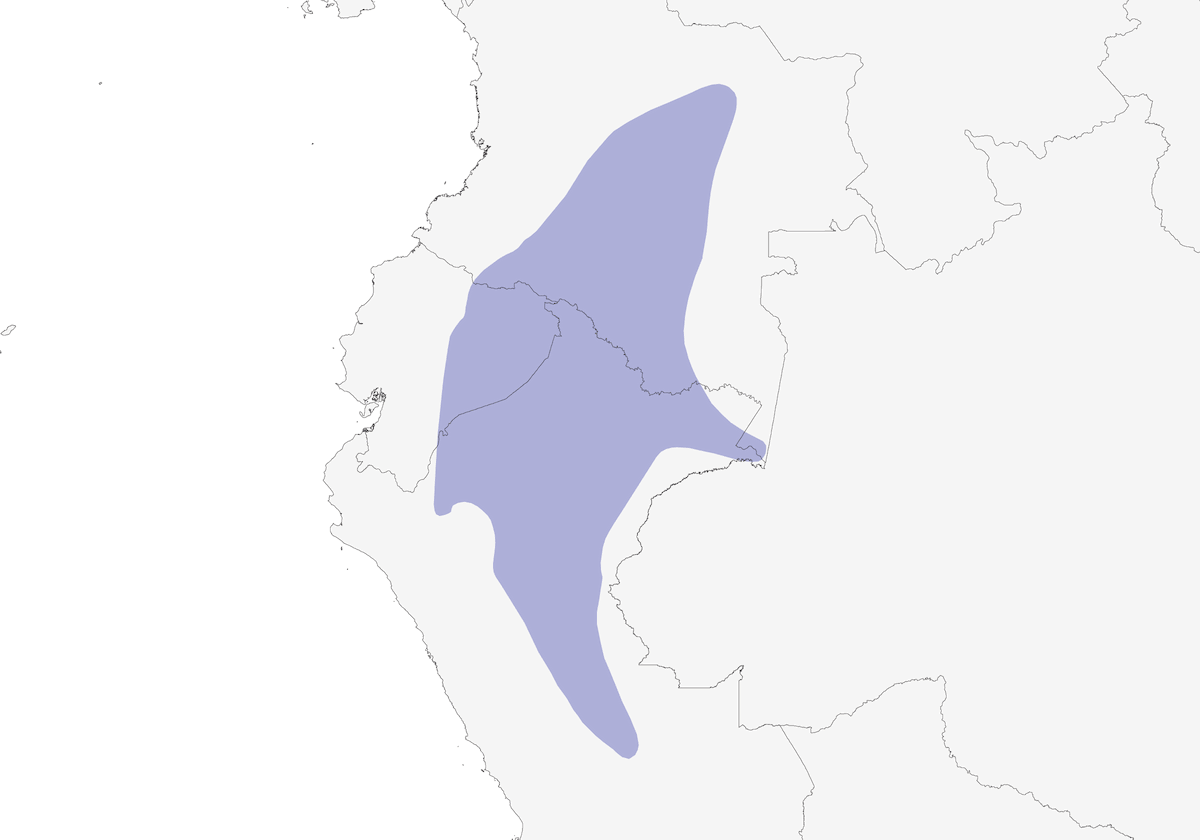 Black-throated Hermit, Distribution 1