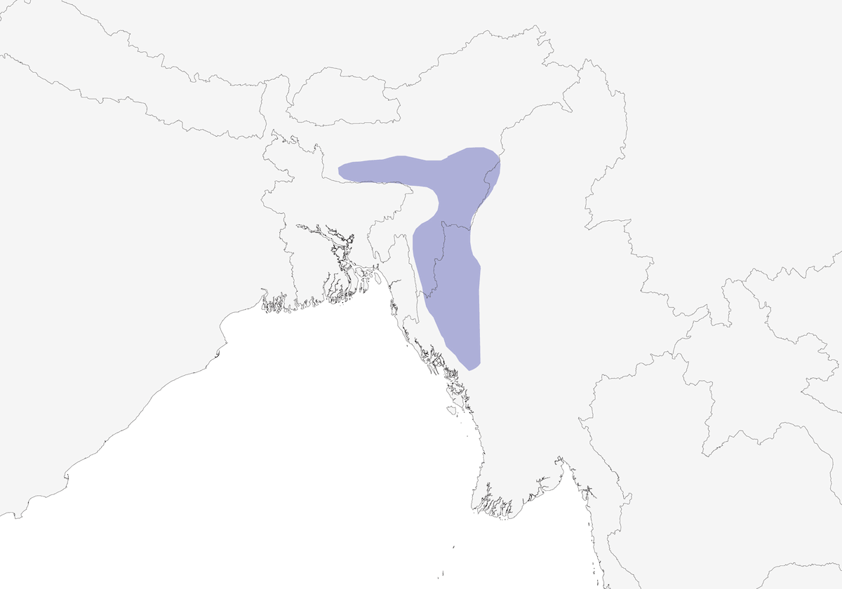 Prinia corona rossa, Distribuzione 1