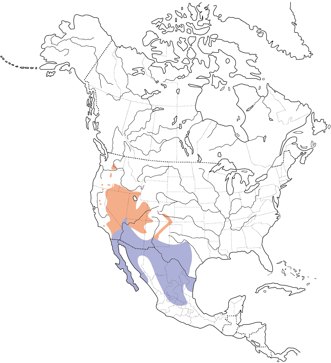 Passero golanera, Distribuzione 1