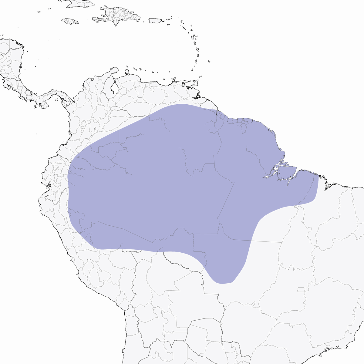 Trogón de Garganta Negra Amazónico, Distribución 1