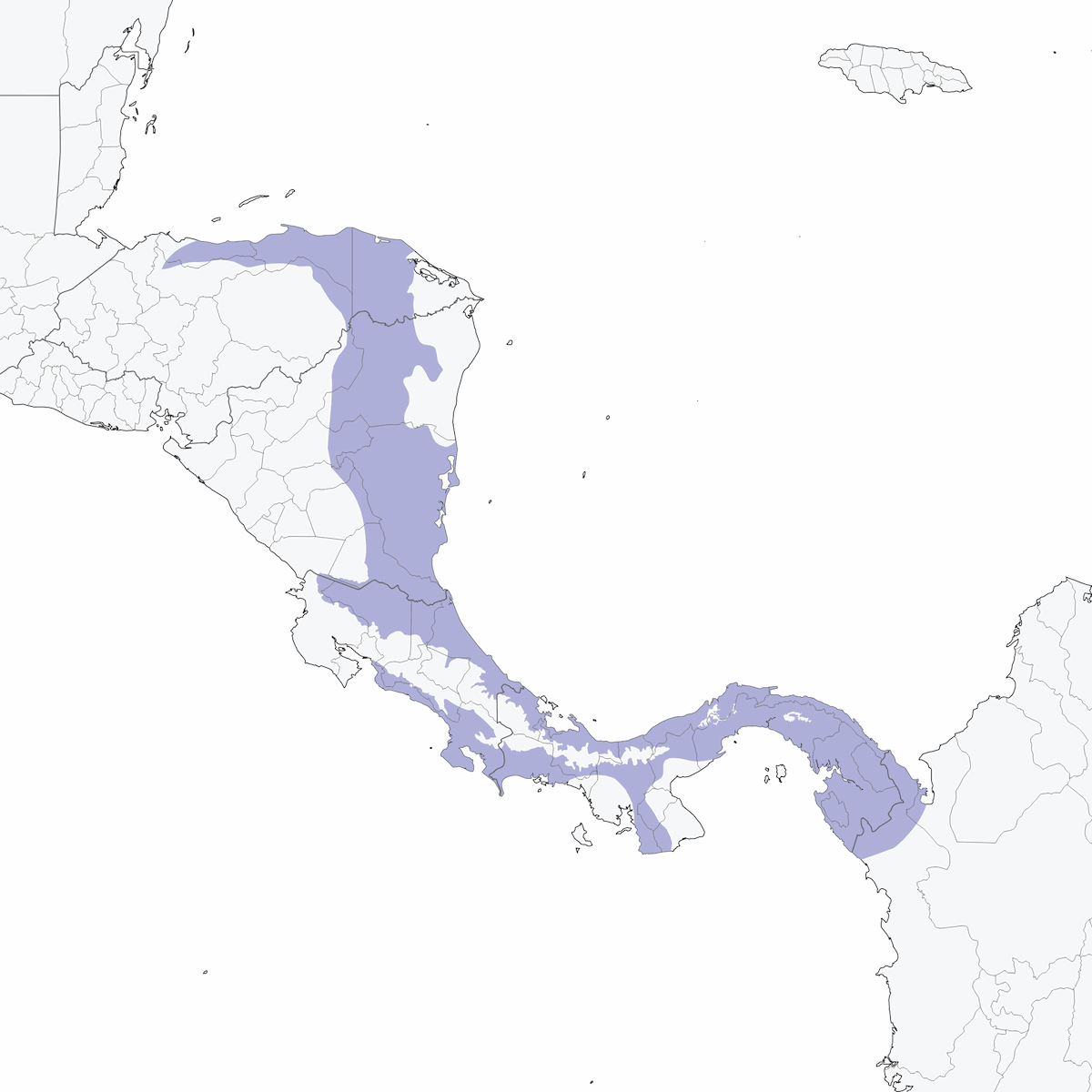 Trogón Golinegro, Distribución 1