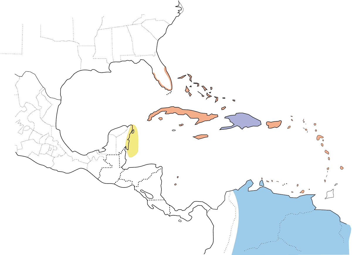 Black-whiskered Vireo, Distribution 1