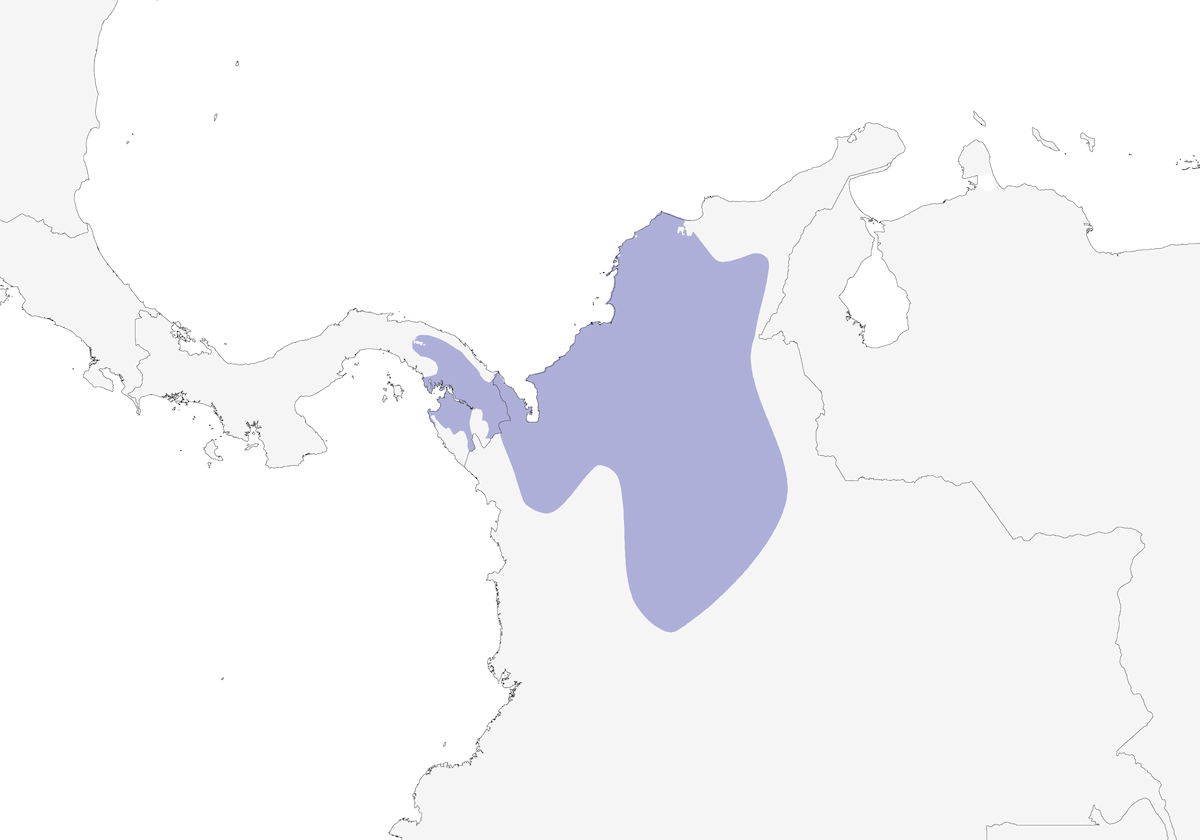 Averla formichiera nera, Distribuzione 1