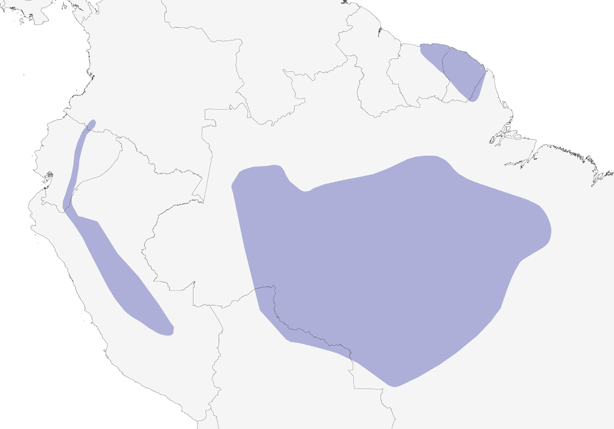 Blackish Antbird, Distribution 1