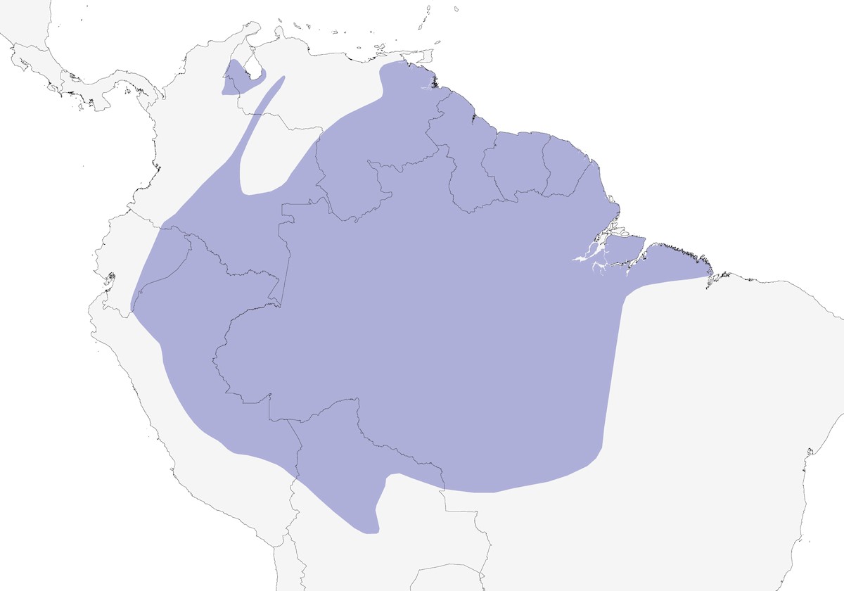 Black Caracara, Distribution 1