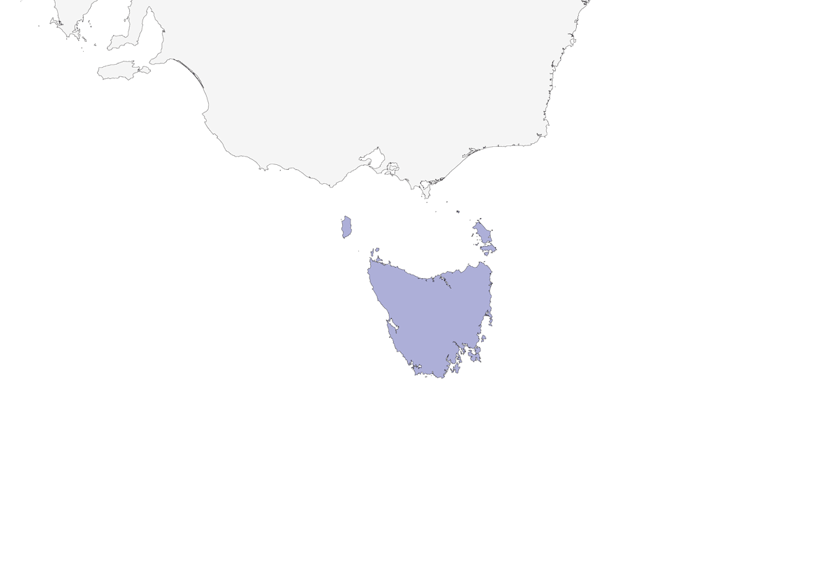 Currawong nero, Distribuzione 1