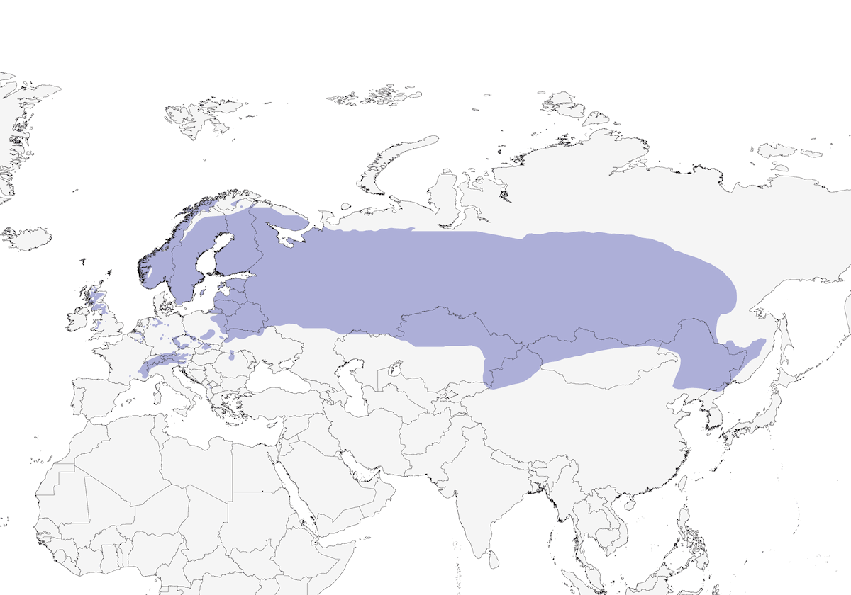 Tétras lyre, Distribution 1