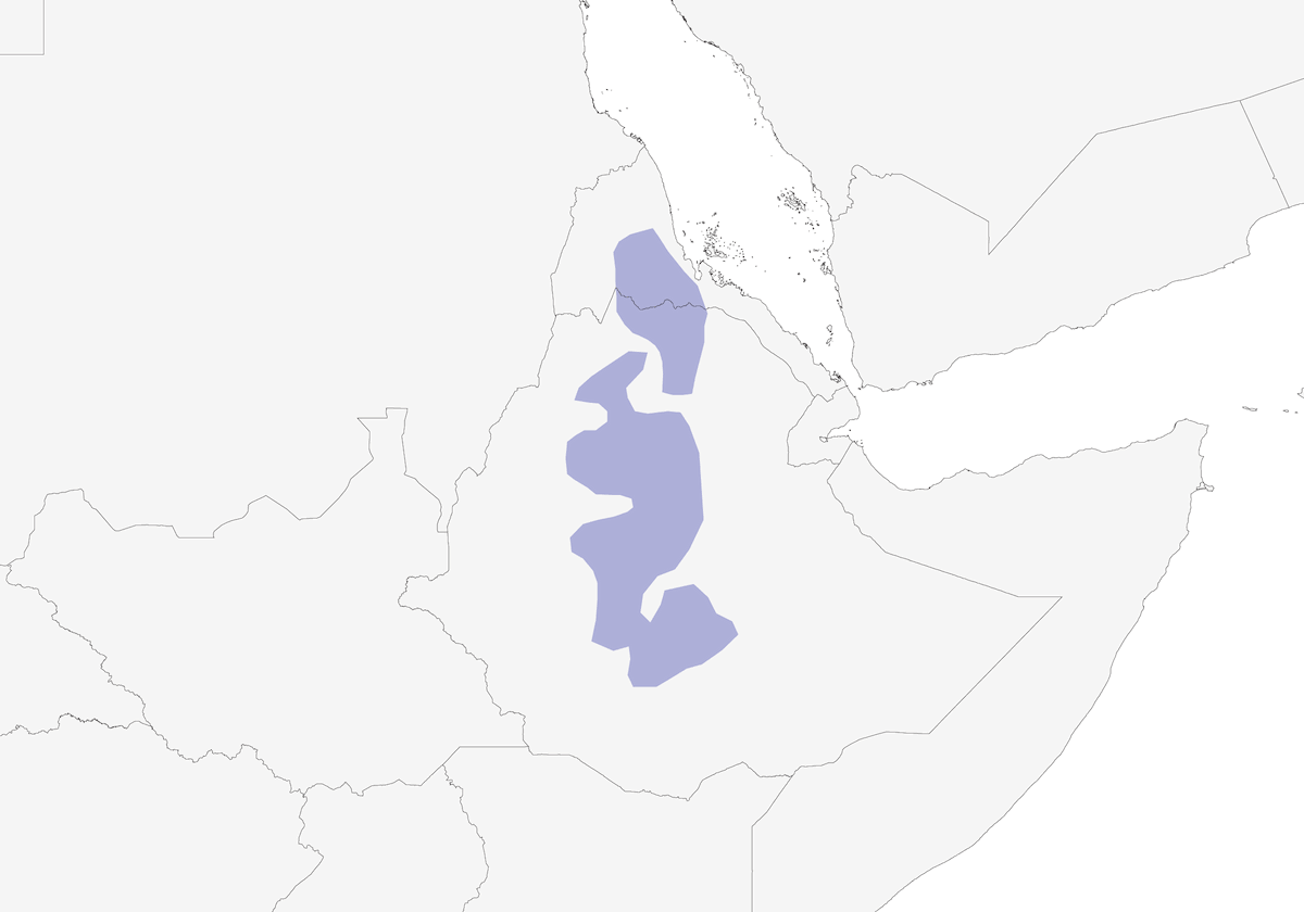 Alouette de Blanford, Distribution 1