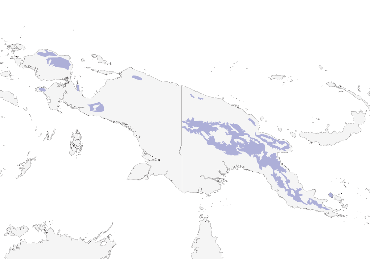 Monarque à éventail, Distribution 1