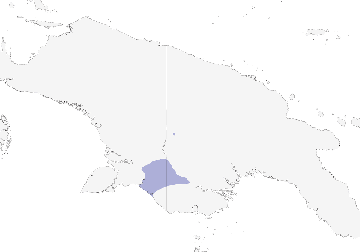 Capuchino Negro, Distribución 1