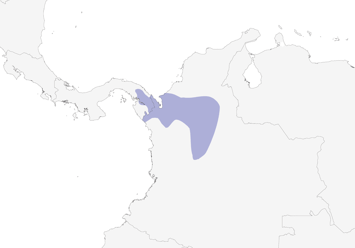 Oropendola nera, Distribuzione 1