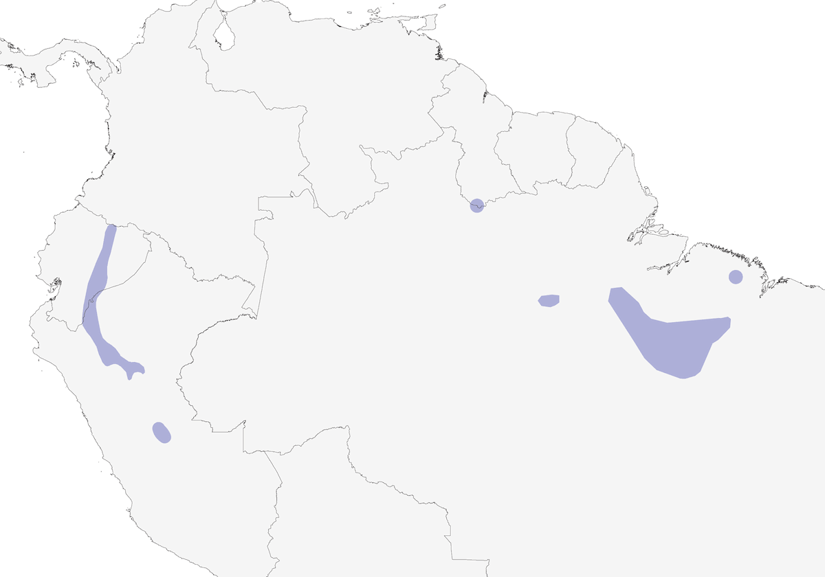 Pigliamosche nerastro, Distribuzione 1