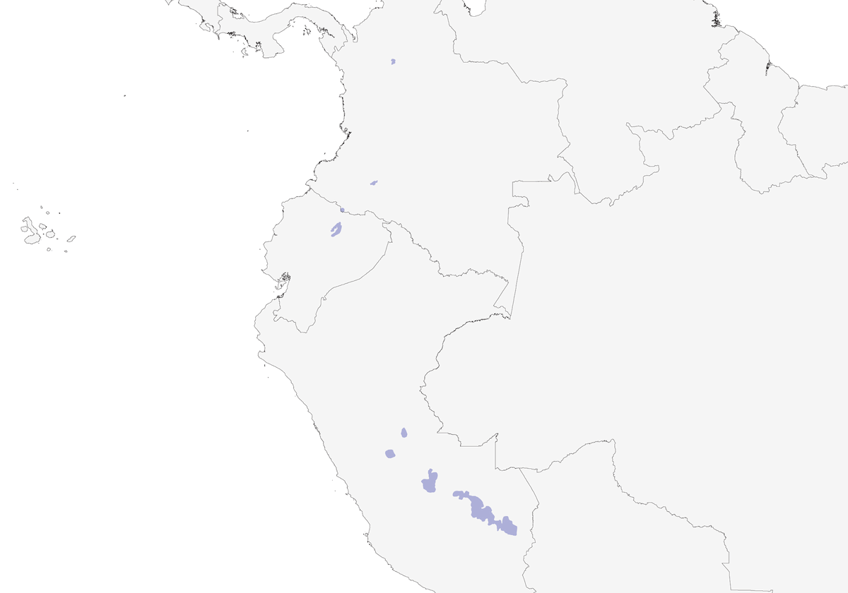 Tinamo nero, Distribuzione 1