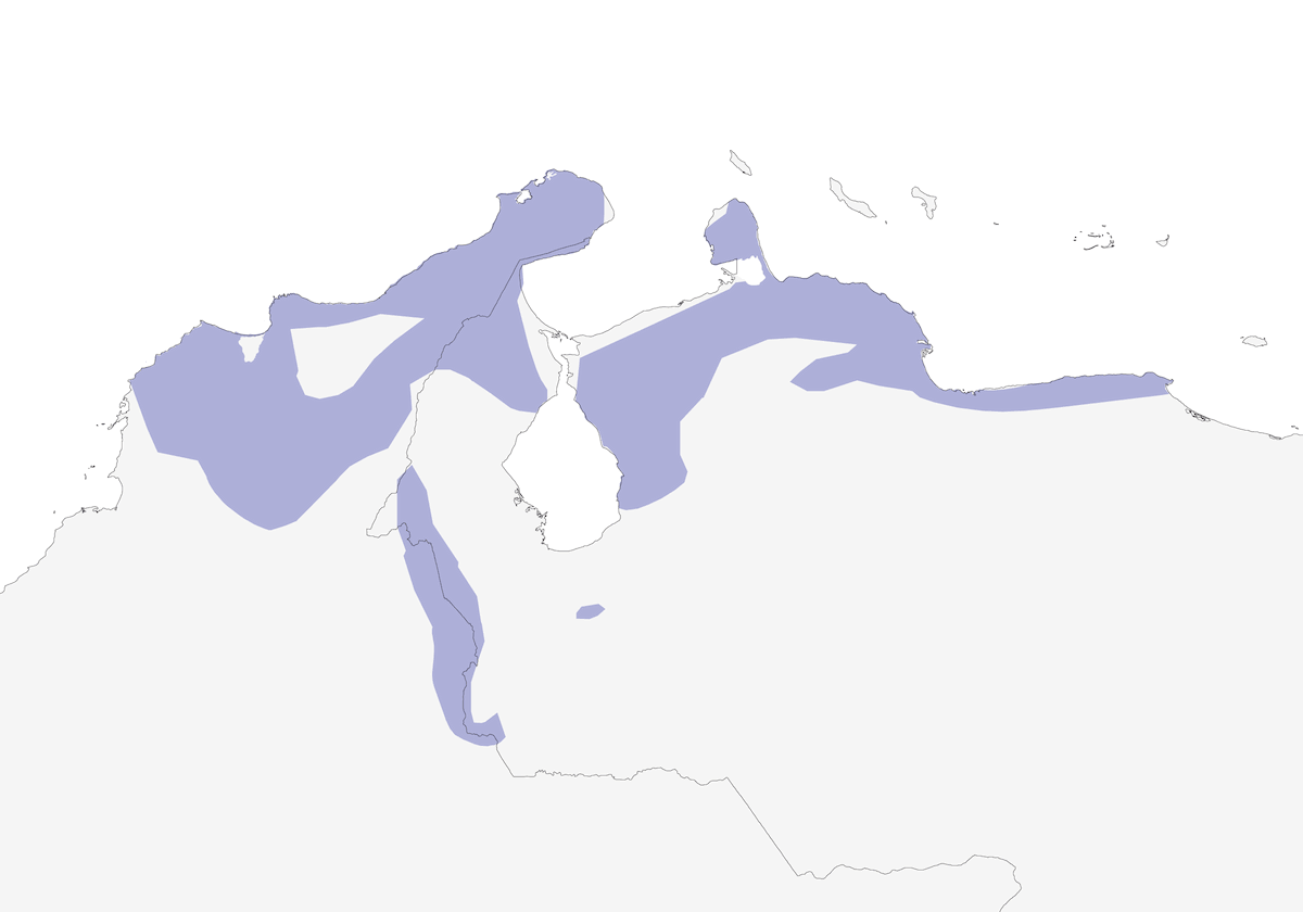 Batará dorsinegro, Distribución 1