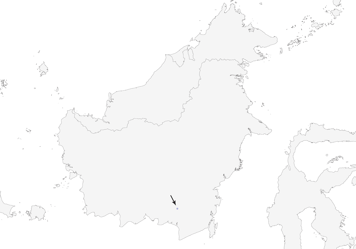 Schwarzbrauenhäherling, Verbreitung 1