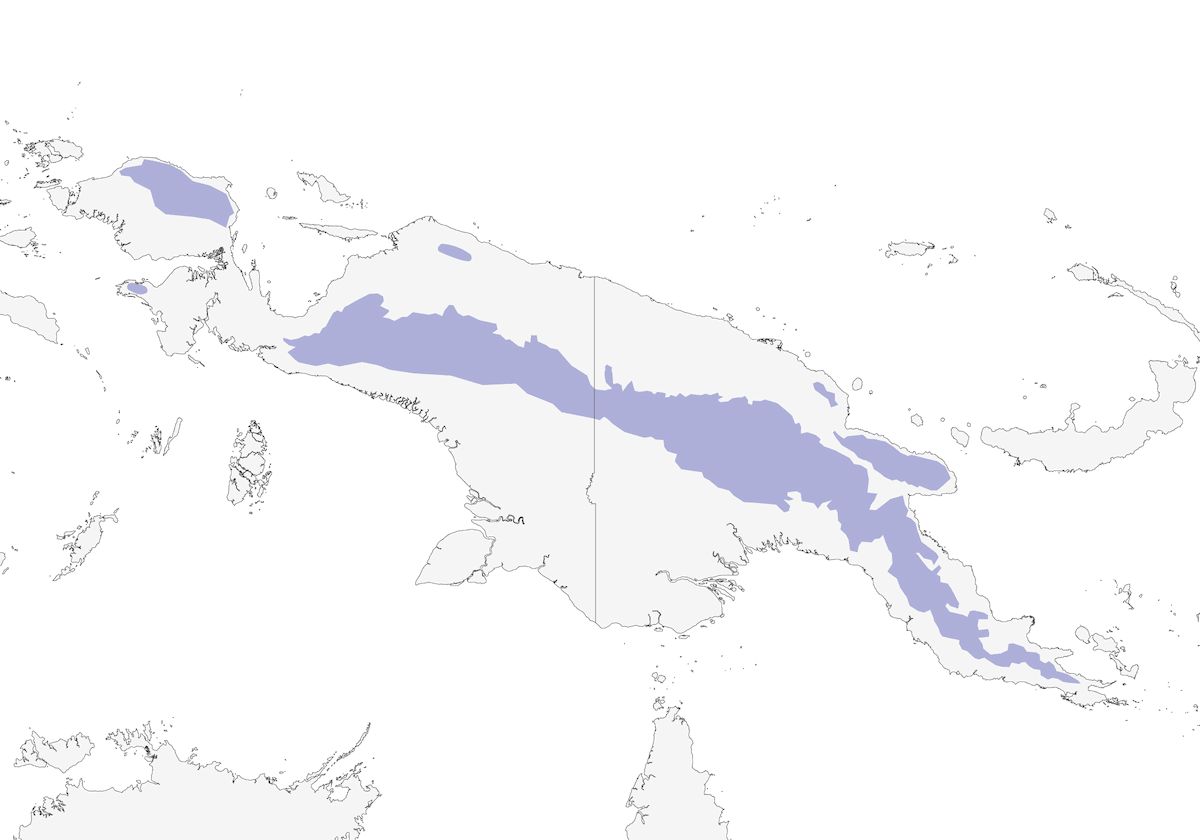 Black-breasted Boatbill, Distribution 1