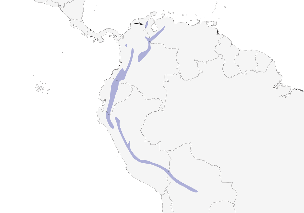 Conirostro dorsiazul, Distribución 1