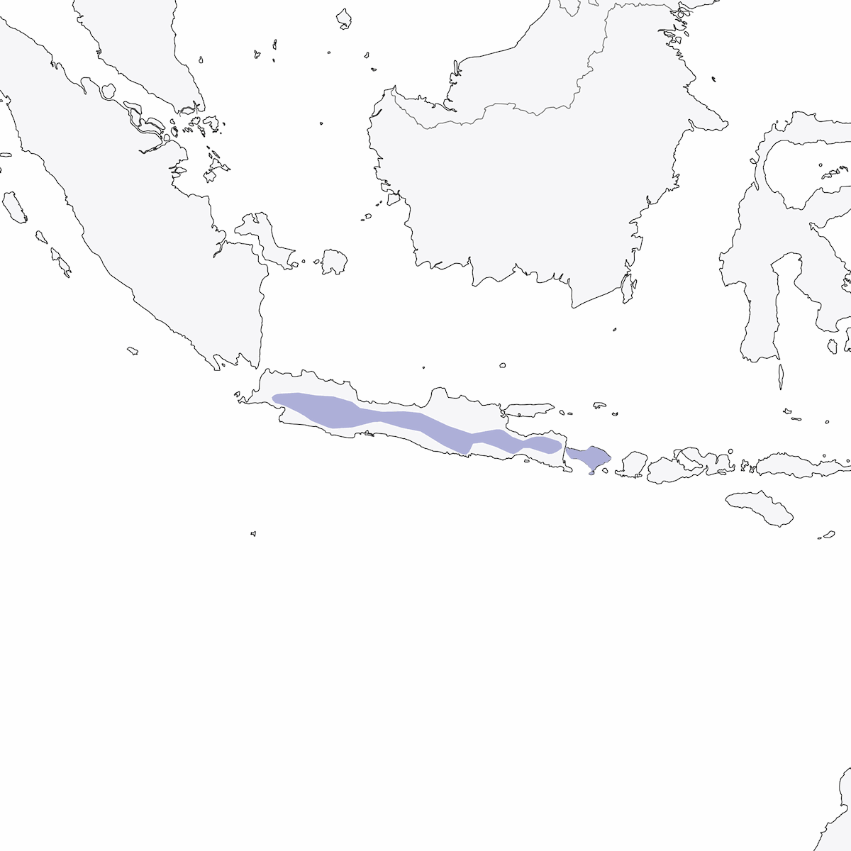 Javan Flowerpecker, Distribution 1