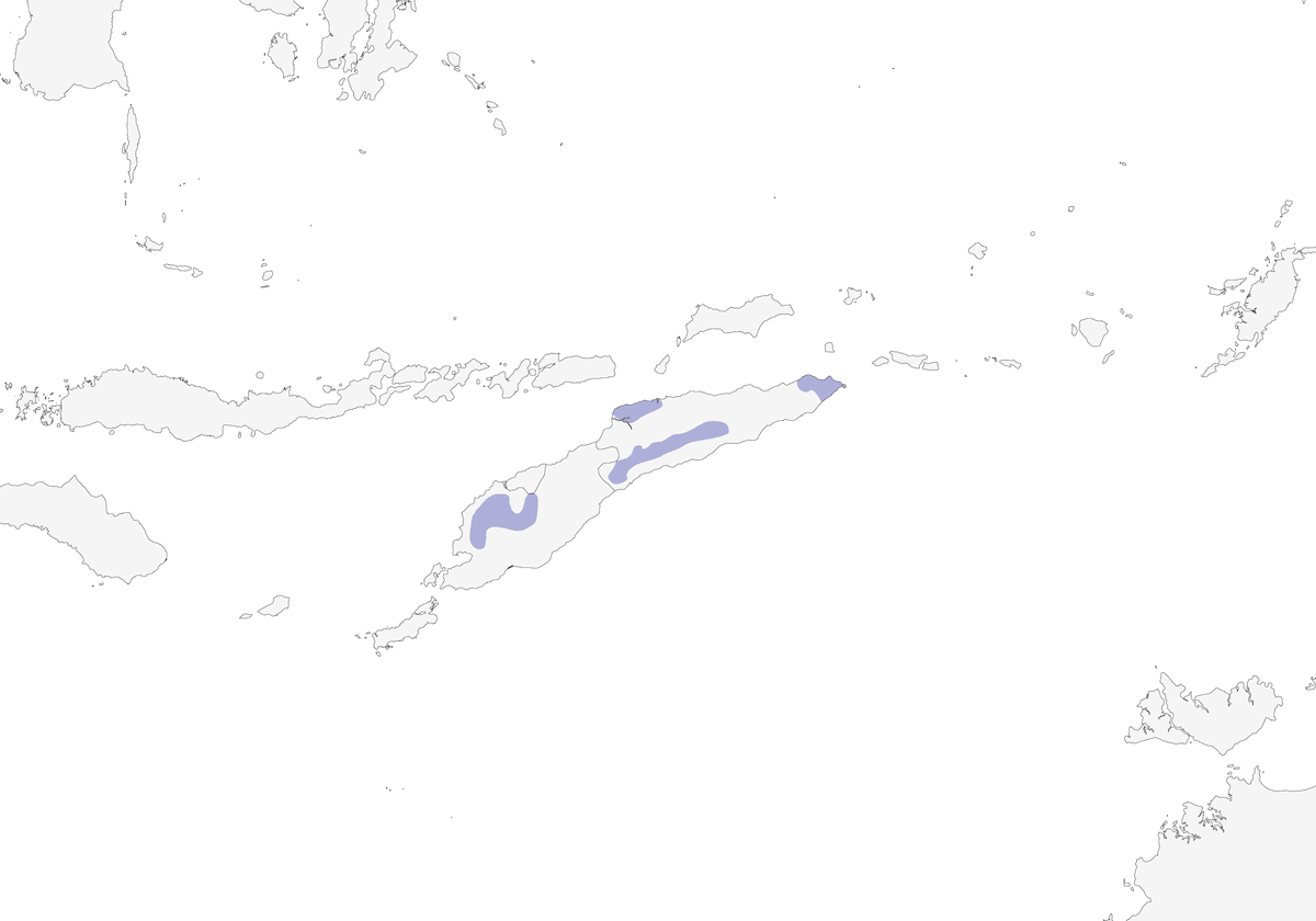 Black-banded Flycatcher, Distribution 1
