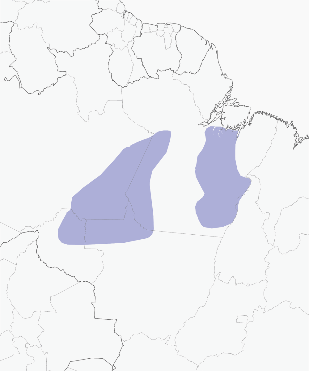 Black-bellied Gnateater, Distribution 1