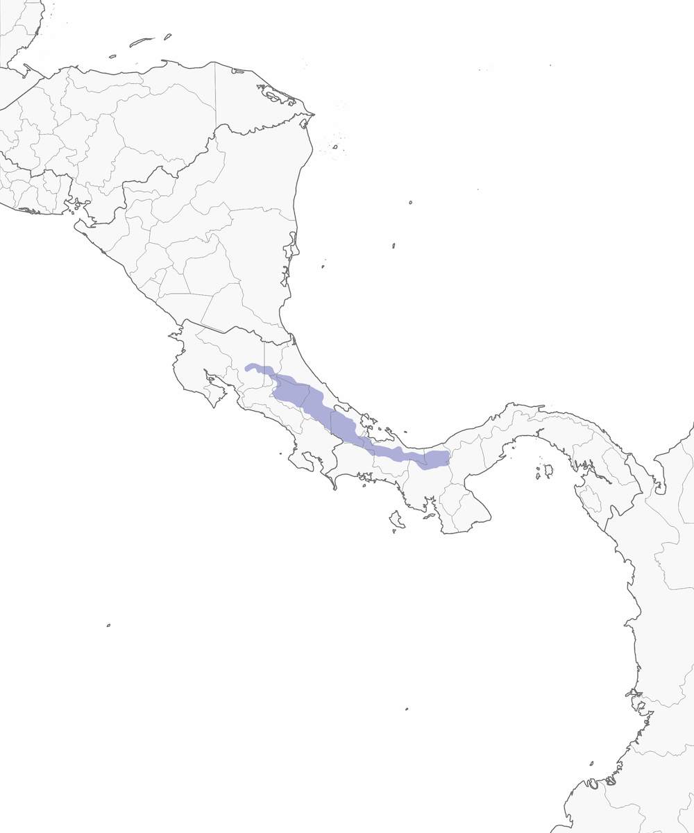 Black-bellied Hummingbird, Distribution 1