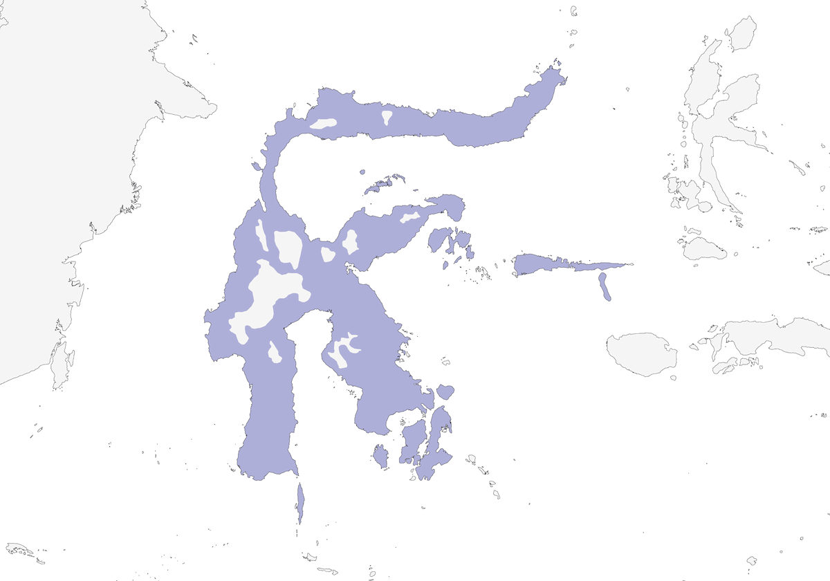 Martin pescatore beccogrosso, Distribuzione 1