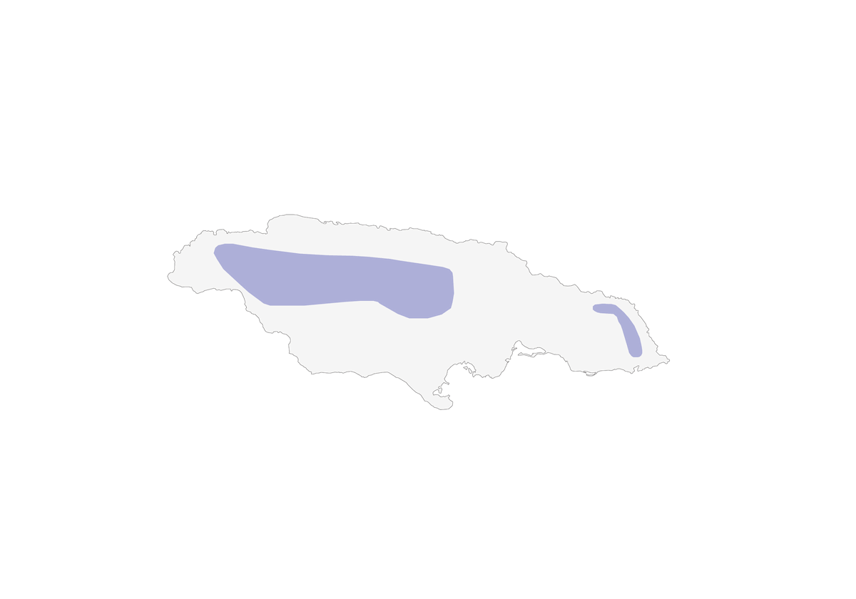 Amazona piconegra, Distribución 1