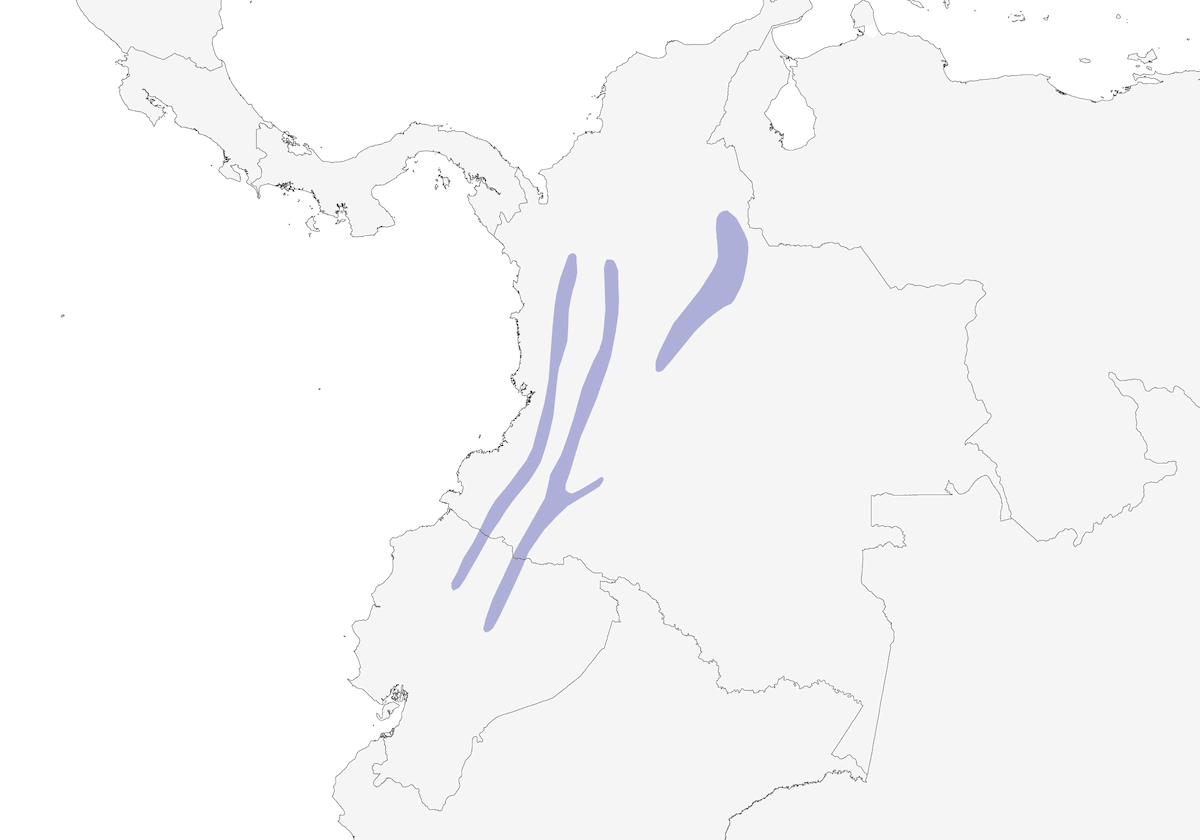 Ciclaris Piquinegro, Distribución 1
