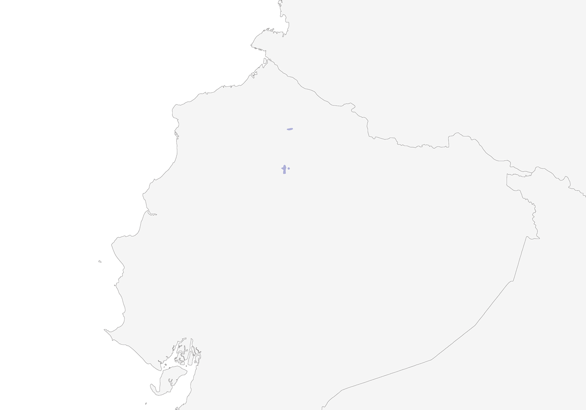 Calzadito Pechinegro, Distribución 1