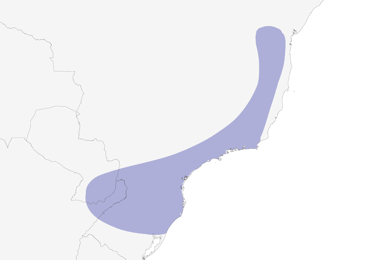 Beccafalcetto beccoscuro, Distribuzione 1