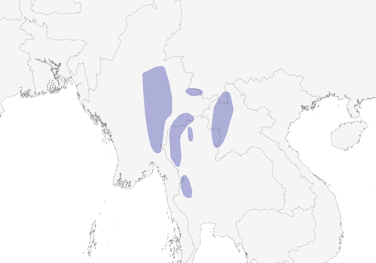 Sibia dorsonero, Distribuzione 1