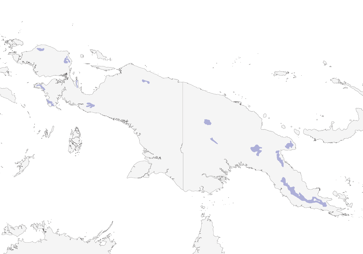 Épimachus à bec noir, Distribution 1