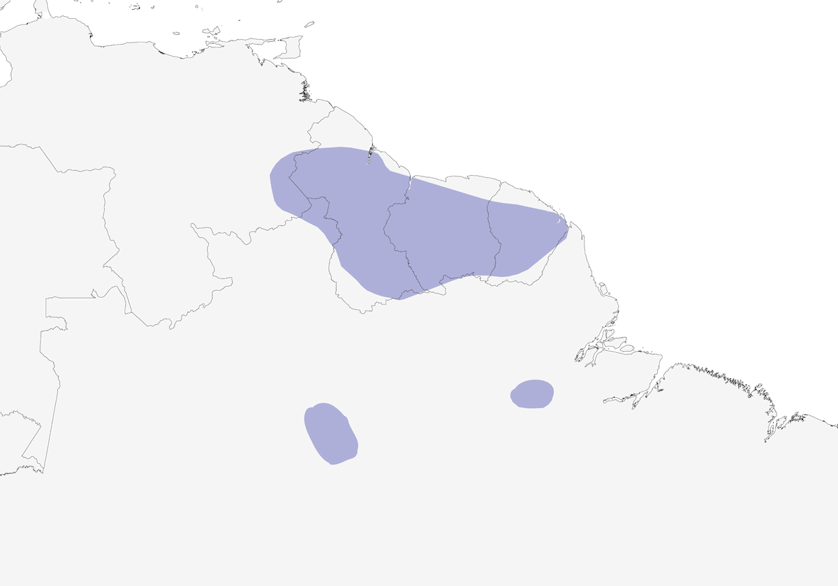 Tanagra dal dorso azzurro, Distribuzione 1
