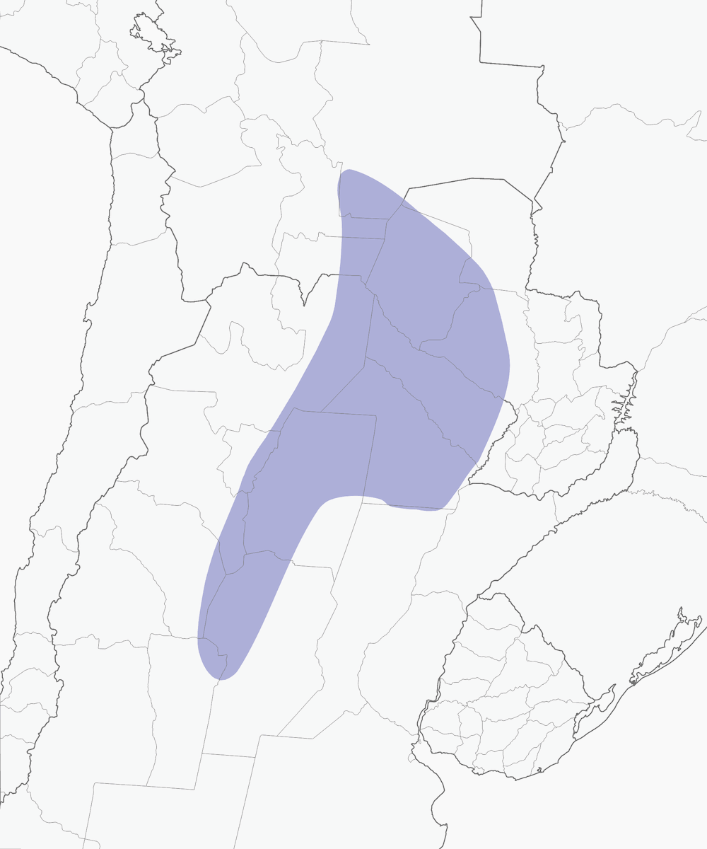 Black-bodied Woodpecker, Distribution 1