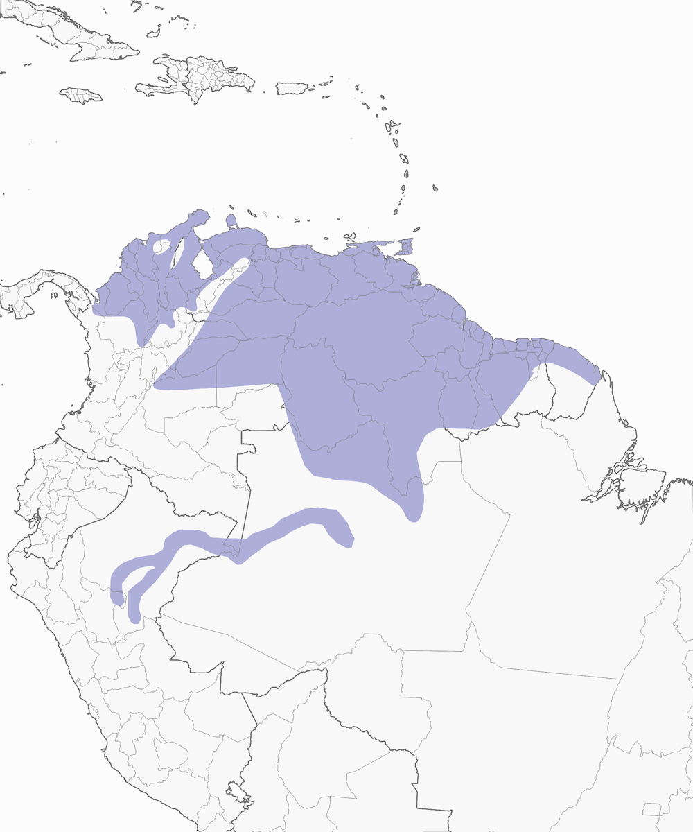 Black-crested Antshrike, Distribution 1