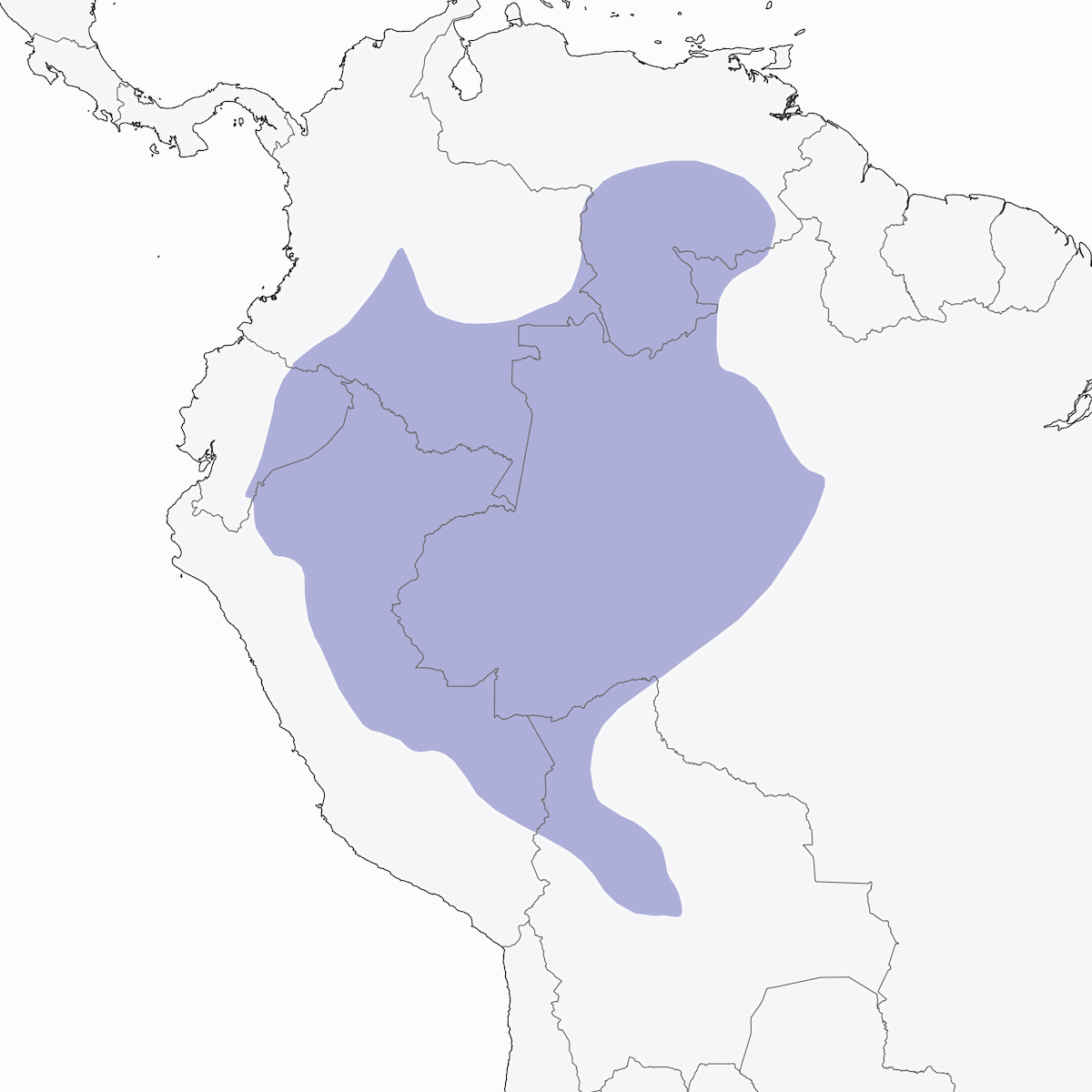 Manachino calotta blu, Distribuzione 1