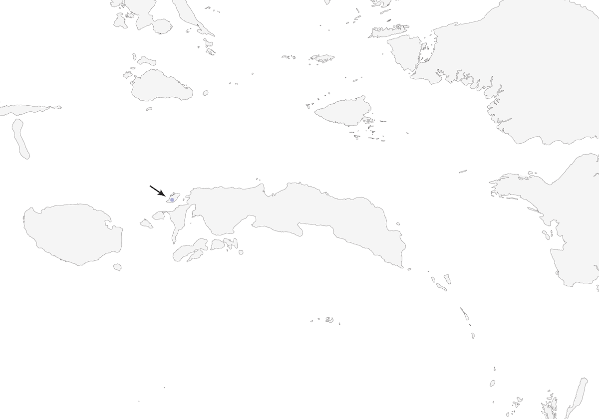 Boano Monarch, Distribution 1