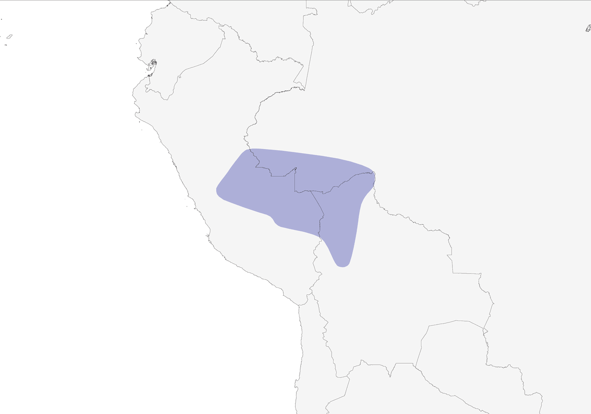 Black-capped Parakeet, Distribution 1
