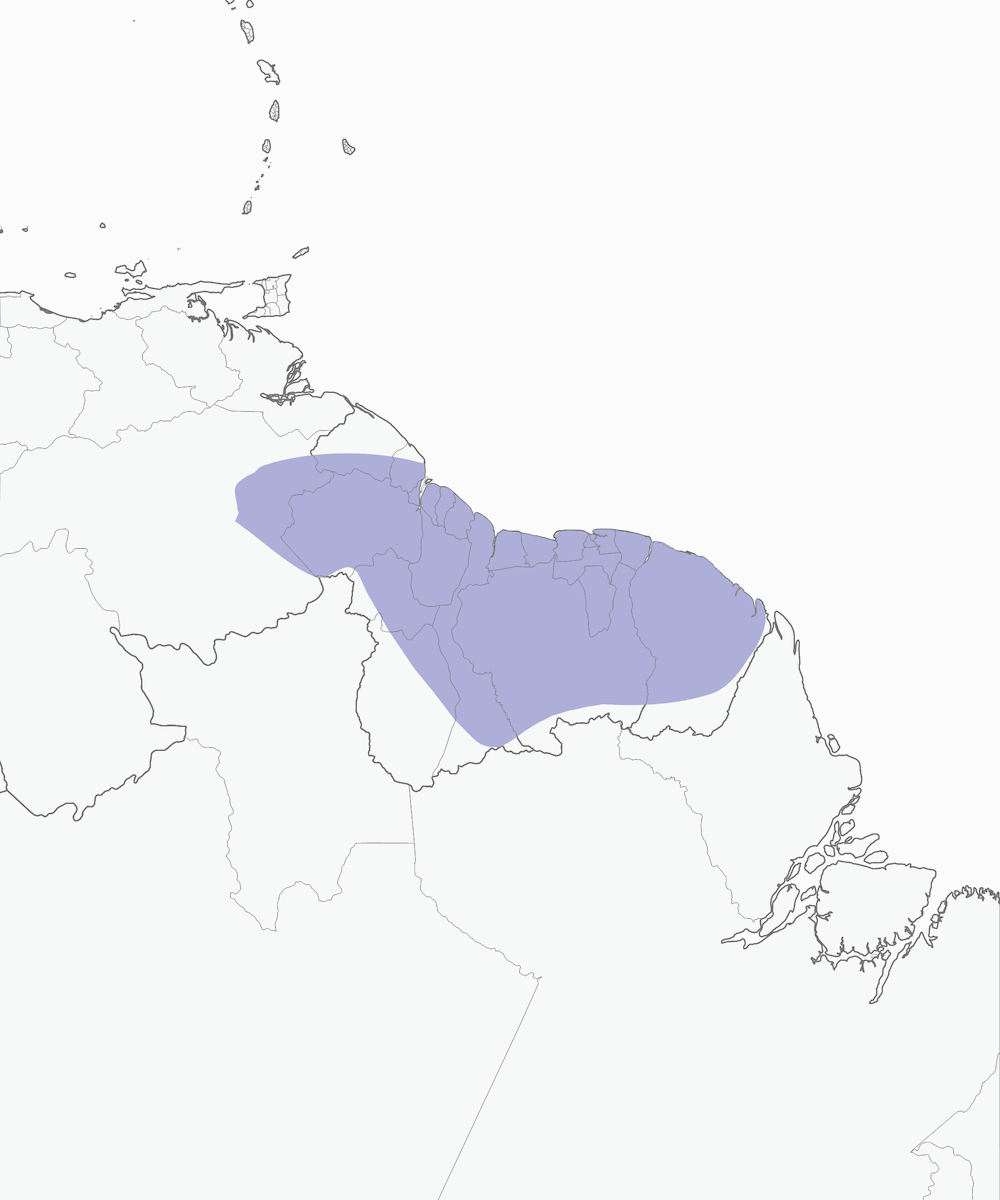 Blauwangenamazone, Verbreitung 1