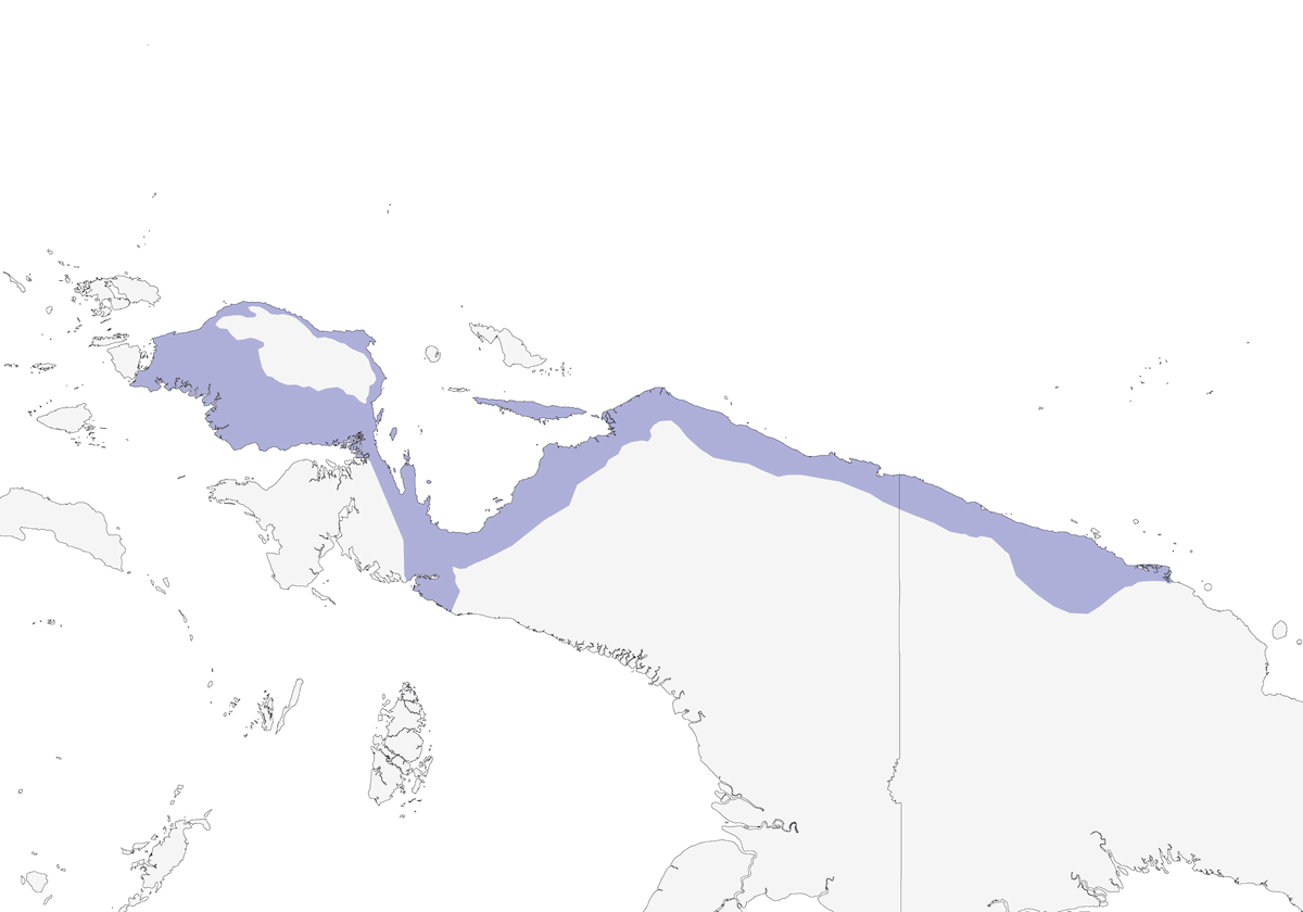 Black-chinned Robin, Distribution 1