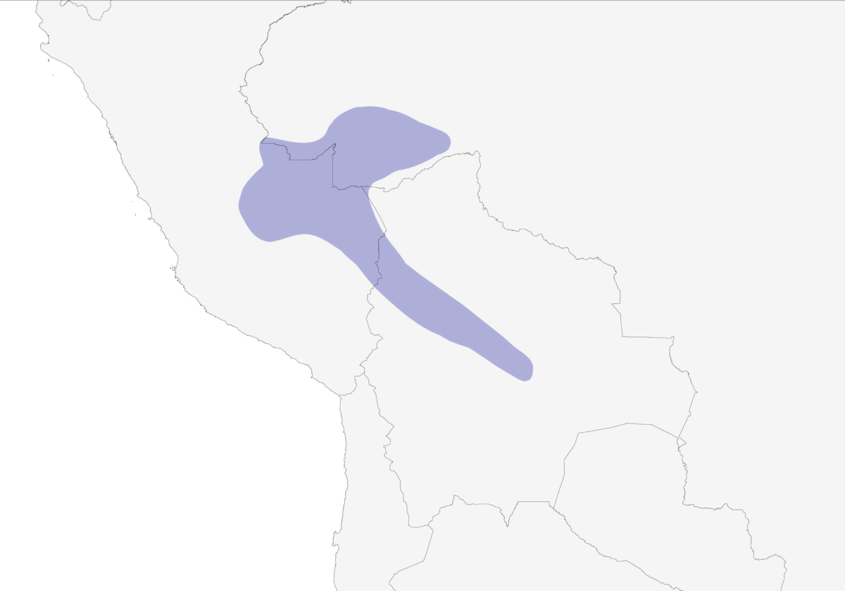 Tinamú Gorrinegro, Distribución 1