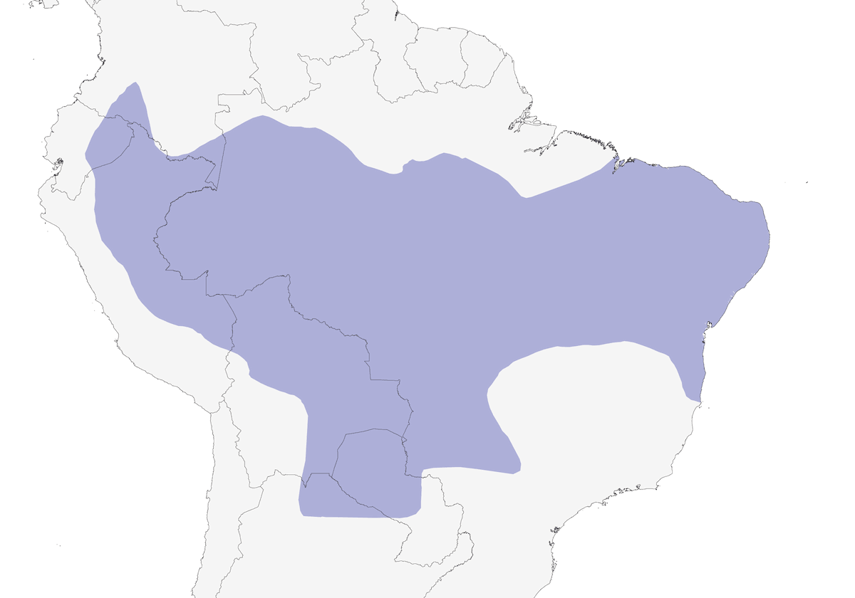 Blue-crowned Trogon, Distribution 1