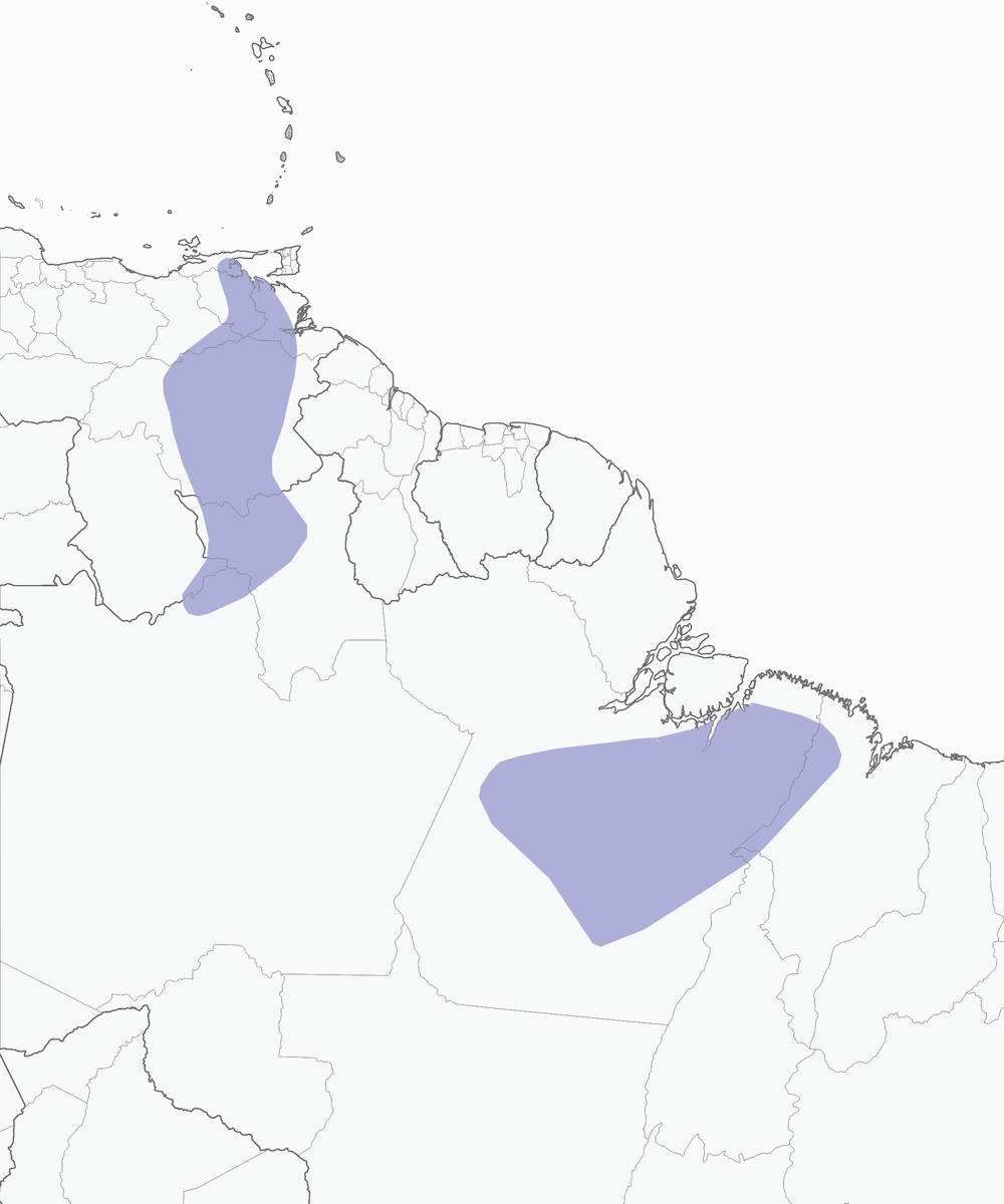 Tirano pechinegro, Distribución 1