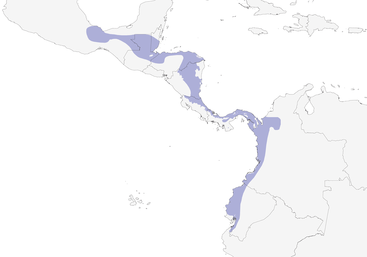 Pic de Pucherani, Distribution 1