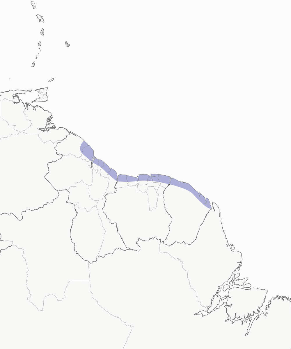 Carpintero Sanguíneo, Distribución 1