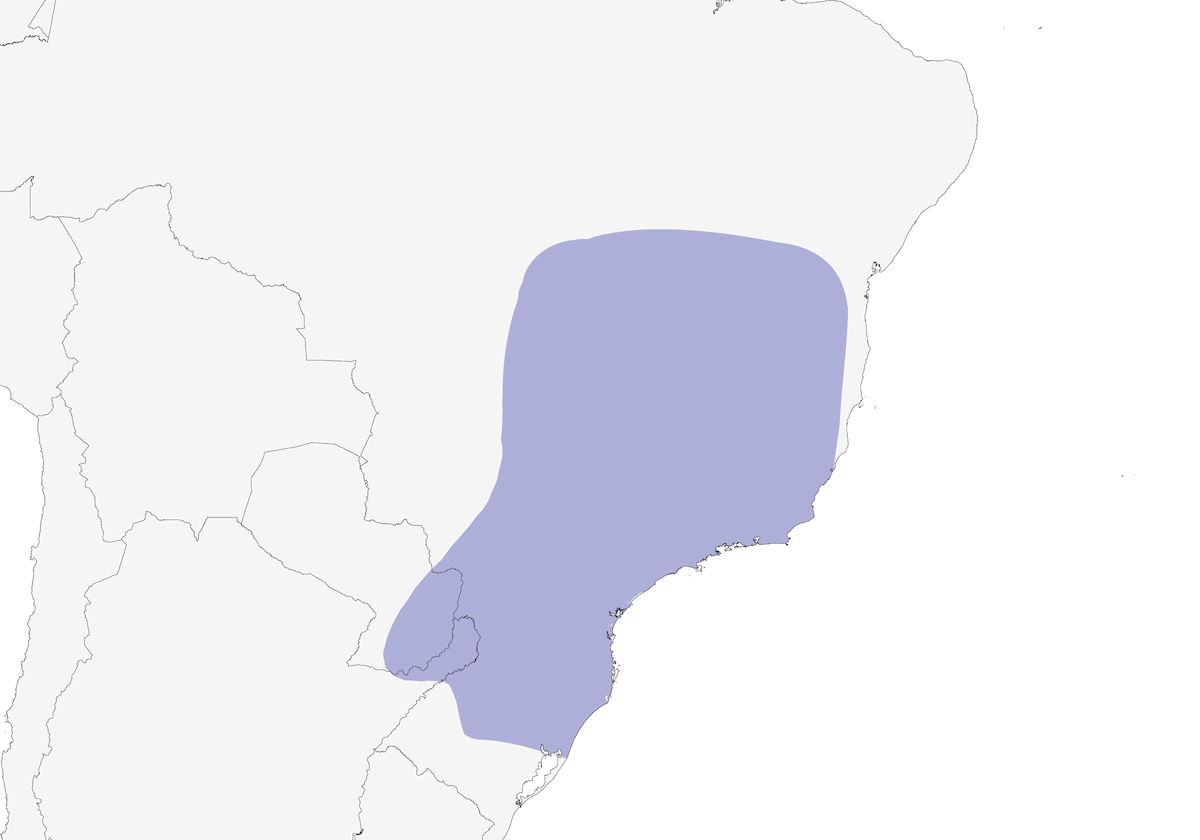 Blond-crested Woodpecker, Distribution 1