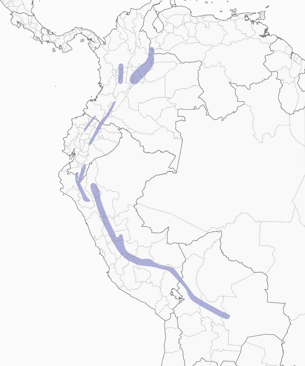 Hemispingo orejinegro, Distribución 1