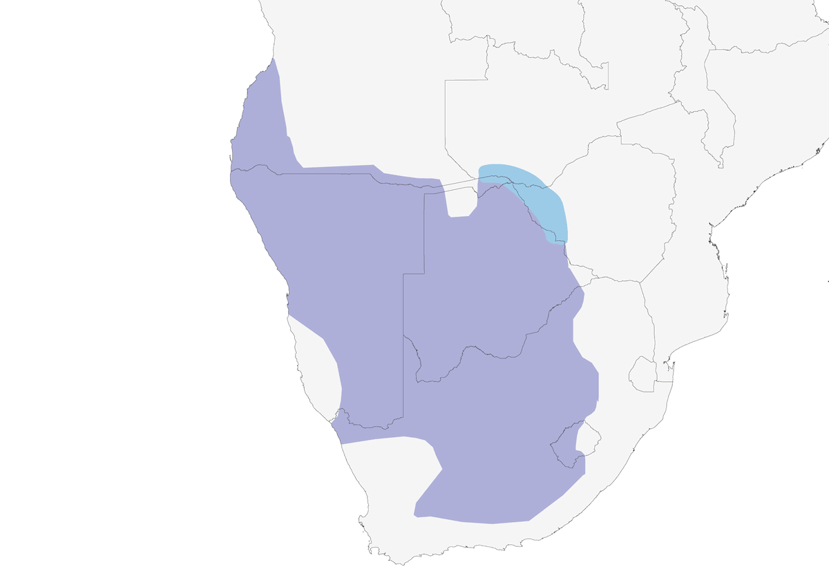 Bulbul frentinegro, Distribución 1