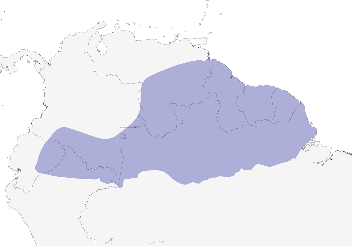 Falco faccia nera, Distribuzione 1