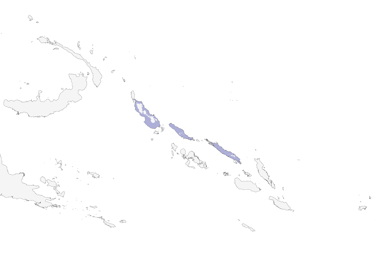 Black-faced Pitta, Distribution 1